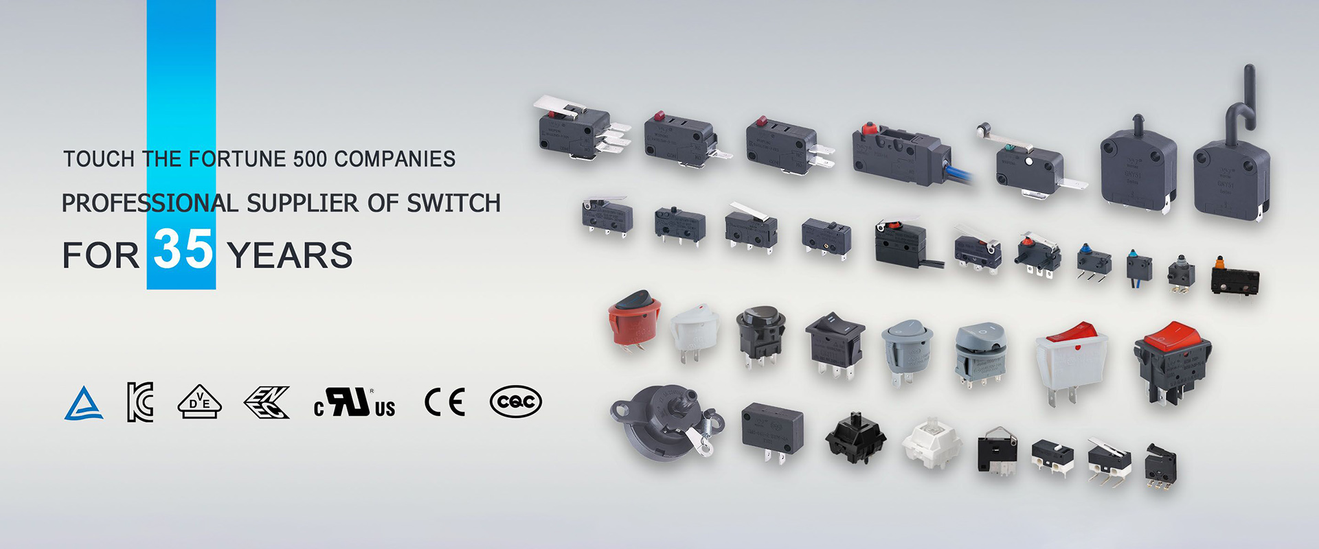 Lịch sử công ty