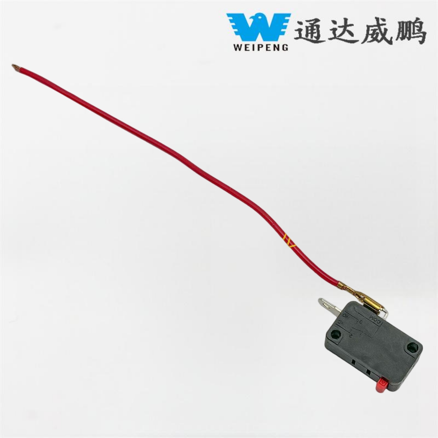 Máy rửa xe có công tắc Micro có dây