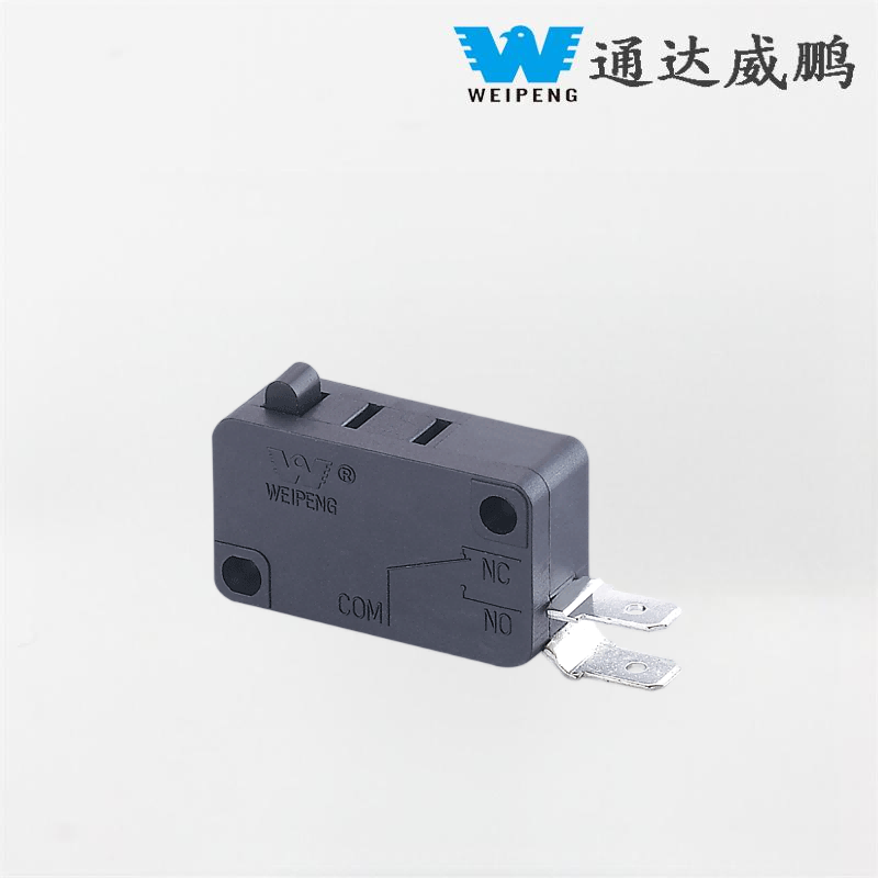 Máy nước nóng điện Micro Switch