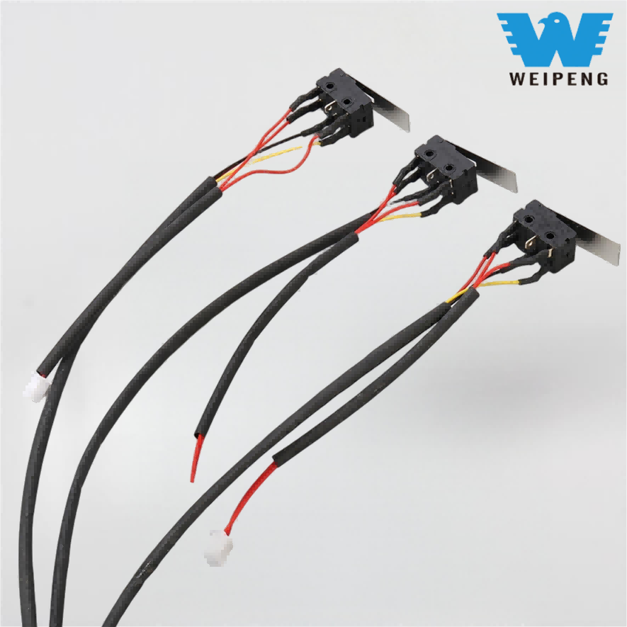 Công tắc Micro cho đầu đốt bếp gas