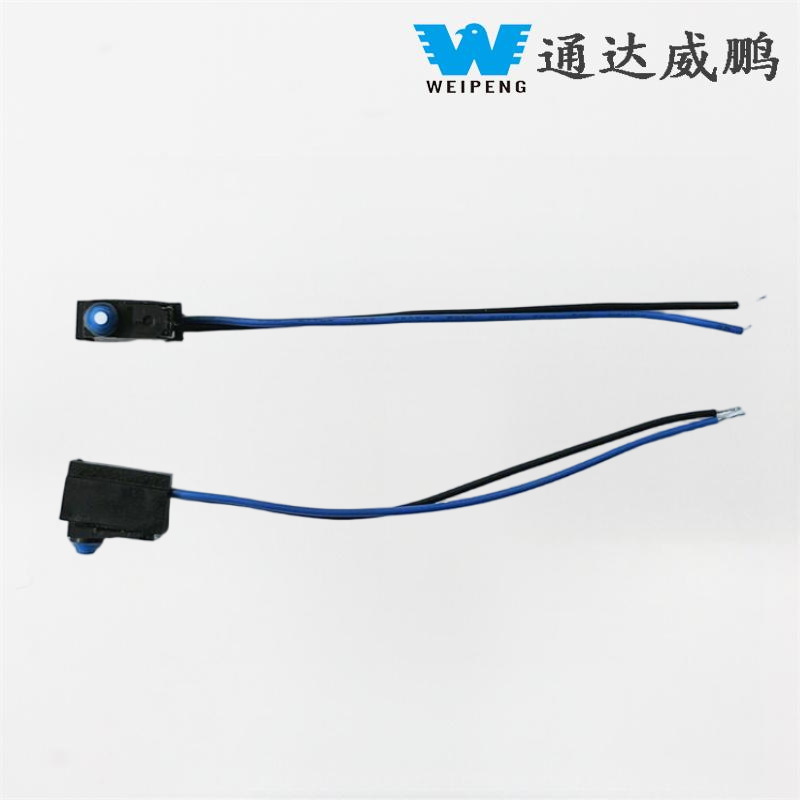 Công tắc Micro chống nước IP67 kín